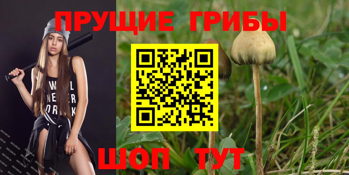 Псилоцибиновые грибы мицелий Семилуки